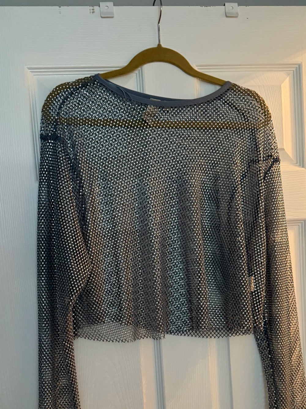 dolan Metallic Silver Mesh Long Sleeve Crop Top